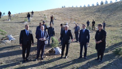 Füzulidə ağacəkmə aksiyası keçirilib - FOTOLAR