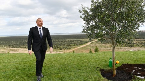 Minlərlə iş yeri yaratmaq planlarımız var - Prezident