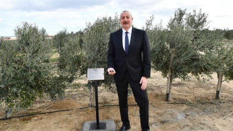 İlham Əliyev: "Biz hər yerdə xariqələr yaradırıq"