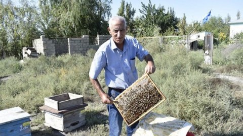 Arıçılara MÜJDƏ!