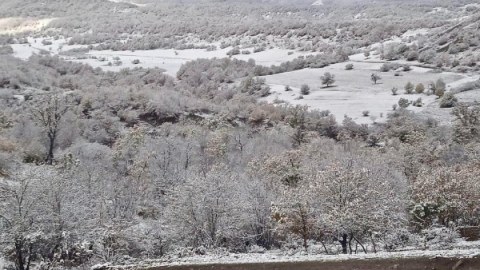 Milli Parklar qar örtüyünə büründü - FOTOLAR