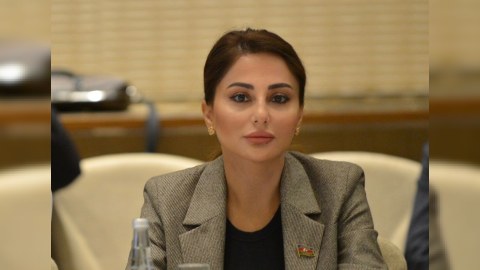 Zəfər Günümüz - Deputat yazır