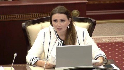 Mədəniyyət sahəsində maaşlar çox aşağıdır - Qənirə Paşayeva 