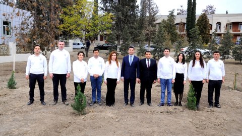 Naftalanda ağacəkmə aksiyası keçirilib