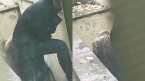 DİN-dən Kliniki Tibbi Mərkəzlə bağlı AÇIQLAMA 