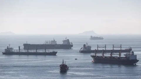 “Taxıl sazişi”nin müddəti uzadılır