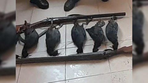 Qanunsuz ov edənlər saxlanıldı