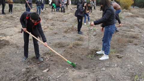 GDU-nun kollektivi ağac əkdi - FOTOLAR