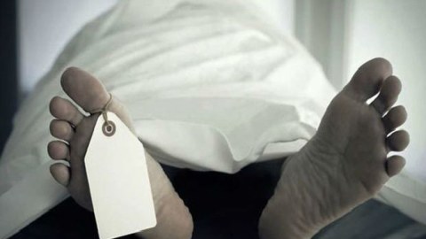 Oğuzda meşədə parçalanmış kişi meyiti tapılıb