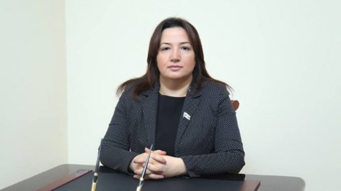 Fransa Senatının qətnaməsi təxribatçı siyasətin təzahürüdür