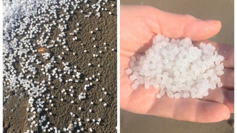 Dəniz sahilində çoxlu sayda plastik aşkarlanıb