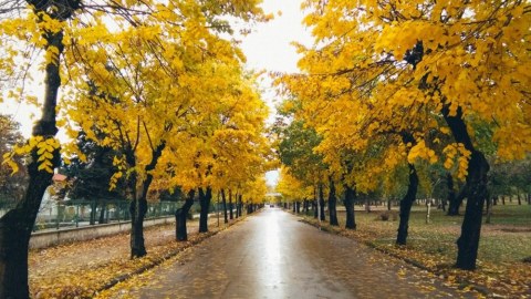 Bu ay temperatur yüksək olub