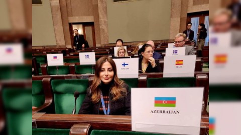 Deputat ATƏT-də Ermənistanın cinayətlərindən danışdı 