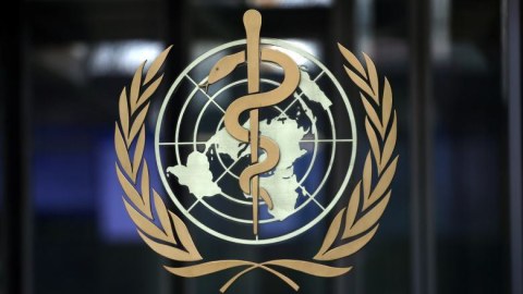 ÜST meymunçiçəyinin yeni adını təsdiqlədi