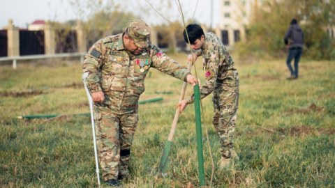 Daha 6 rayonda “Vətən Bağı” yaradıldı - FOTOLAR