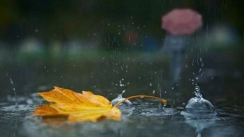 Bu günün hava PROQNOZU