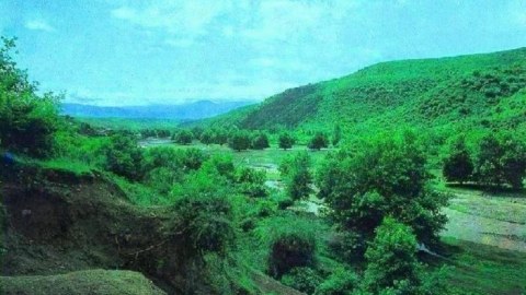 Bəsitçay Qoruğunun Əsasnaməsi təsdiqləndi
