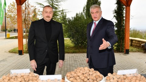 Prezident Aqroparkda yaradılan şəraitlə tanış oldu - FOTOLAR