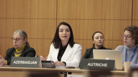 Leyla Abdullayeva Fransada erməniləri susdurdu