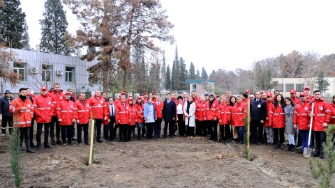 Naftalanda Beynəlxalq Könüllülər Günü qeyd edilib - FOTO