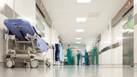 Xaçmazda iki qadın göbələkdən ZƏHƏRLƏNDİ