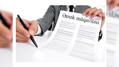 Azərbaycanda əmək müqavilələrinin sayı açıqlandı