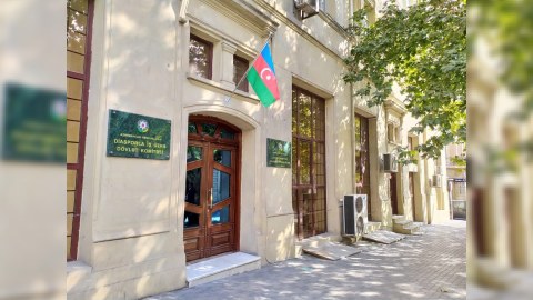 Azərbaycan diasporu Qarabağdakı etiraz aksiyasını DƏSTƏKLƏYİR
