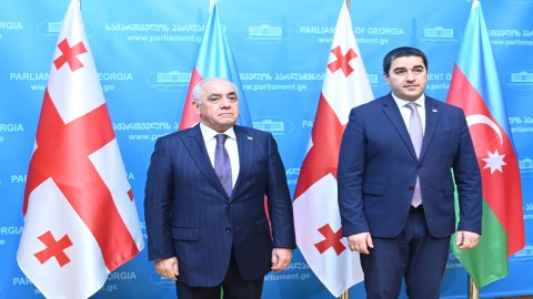 Əli Əsədov Papuaşvili ilə müzakirə apardı