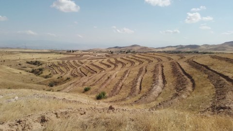 “Dostluq Meşəsi” Kompleksində ağac əkilir