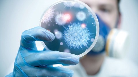 Gürcüstanda 12 növ virus AŞKARLANIB