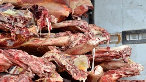 “Eşşək Tahir”in bizə yedizdirdiyi ət sağlamlığımız üçün nə qədər zərərlidir?