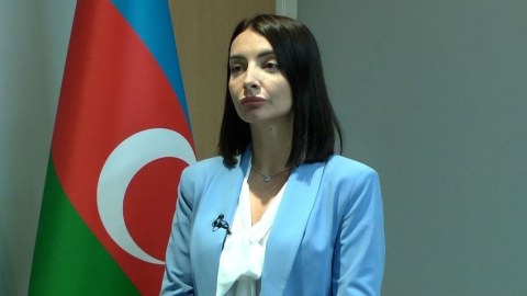 “Bircə Fransadakı səfir Leyla Abdullayeva...” - Siyasi ekspertdən diplomatlara TƏNQİD