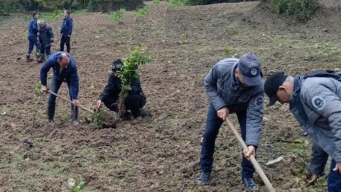 Bu il 1,5 milyon ağac əkilib