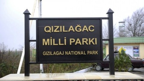 Qızılağacda balıq tutan şəxs saxlanıldı