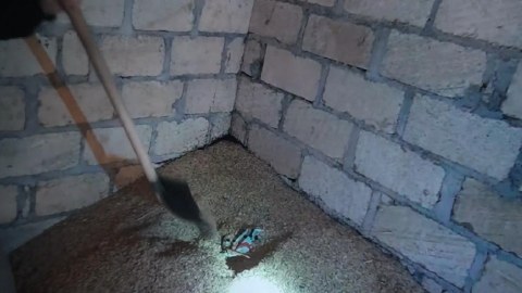 Keçmiş məhkum eyni əmələ görə yenidən TUTULDU