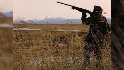 Qanunsuz ov edən daha 4 nəfər saxlanıldı