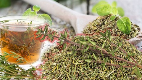 Kəklikotu çayı həyat eşqini artırır