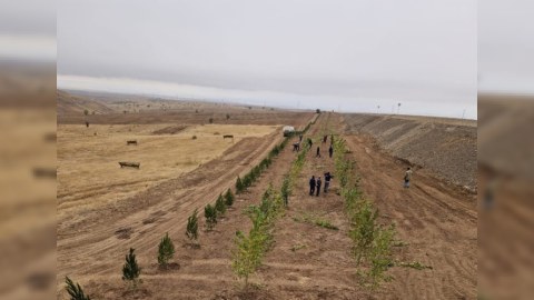 Bu gün 3200 ağac əkilib - FOTOLAR