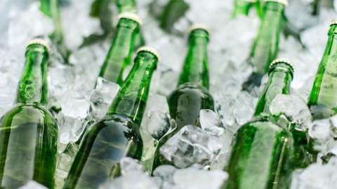 Azərbaycanda pivə istehsalı üçün arpa emalı zavodu AÇILACAQ