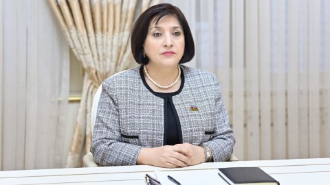 Sahibə Qafarova Çexiya səfiri ilə görüşdü