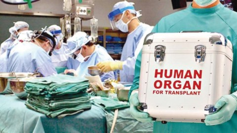 Orqan köçürülməsi üçün mərkəz fəaliyyətə başlayıb
