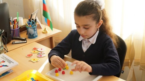 Evdə təhsil alan şagirdlərin sayı AÇIQLANDI