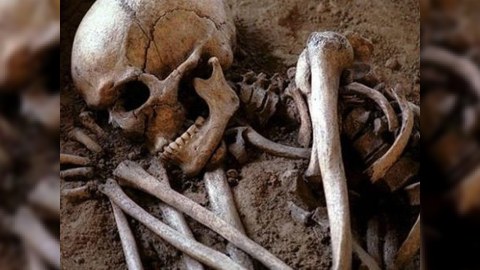 Qəbələdə kişi skeleti tapıldı 