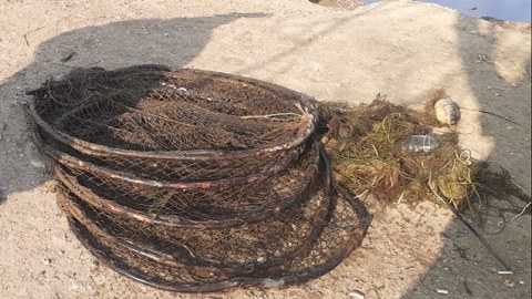 Qanunsuz ov edənlər cəzalandırıldı