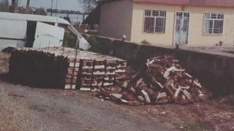 Qanunsuz yolla əldə edilən meşə materialı aşkarlandı