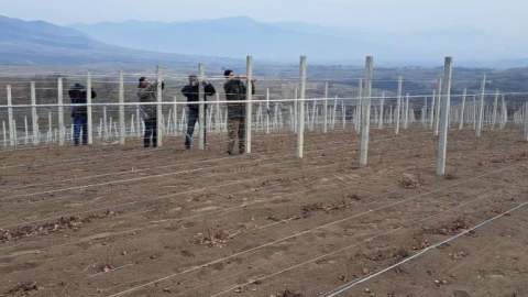 Hadrutdan qaçan iş adamı Əsgəranda yeni çaxır zavodu TİKİR