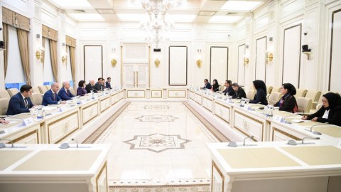Sahibə Qafarova indoneziyalı deputatlarla görüşdü