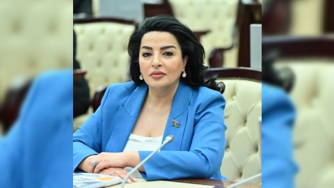 Fatma Yıldırım Bərdənin problemlərini parlamentdə qaldırdı