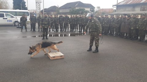 Azərbaycan Türkiyədə xilasetmə itləri GÖNDƏRİR