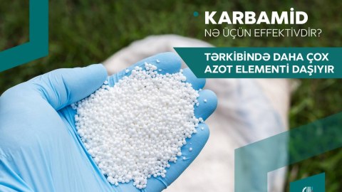 Karbamid gübrəsini necə düzgün istifadə etməli? - Fermerlərə tövsiyə